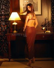 Chidiyan Da Chamba Heroine Amyra Dastur in a Chocolate Brown Sequin Cut Out Maxi Dress Pictures 03