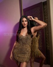 Dazzling Actress Amyra Dastur in a Gold Beaded Fringe Mini Dress Photos 01