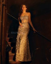 Dazzling Actress Amyra Dastur in a Gold Beaded Strapless Gown Photos 01