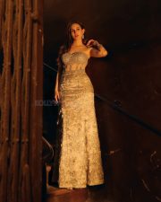 Dazzling Actress Amyra Dastur in a Gold Beaded Strapless Gown Photos 03