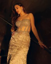 Dazzling Actress Amyra Dastur in a Gold Beaded Strapless Gown Photos 04