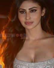 Dazzling Actress Mouni Roy in a Silver Sequin Strapless Gown Photos 04