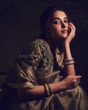 Dazzling Priyanka Mohan in a Traditional Diwali Saree Photos 02