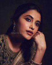 Dazzling Priyanka Mohan in a Traditional Diwali Saree Photos 03
