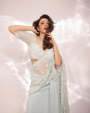 Elegant Hansika Motwani in an Ice Blue Shimmery Saree with a Embroidered Blouse Photos 01