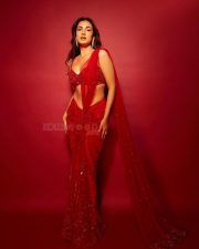 Glam and Glitzy Sonal Chauhan in a Bold Sequined Red Saree Pictures 06