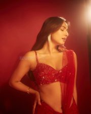 Glam and Glitzy Sonal Chauhan in a Bold Sequined Red Saree Pictures 07