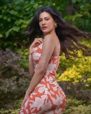 Gorgeous and Curvy Amyra Dastur Pictures 02