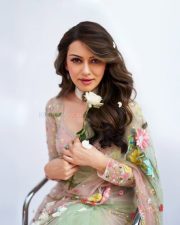 Graceful Hansika Motwani in a Pastel Green Floral Embroidered Saree with a Matching Full Sleeve Blouse Photos 02 Graceful Hansika Motwani in a Pastel Green Floral Embroidered Saree with a Matching Full Sleeve Blouse Photos 02