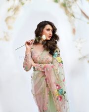 Graceful Hansika Motwani in a Pastel Green Floral Embroidered Saree with a Matching Full Sleeve Blouse Photos 04 Graceful Hansika Motwani in a Pastel Green Floral Embroidered Saree with a Matching Full Sleeve Blouse Photos 04