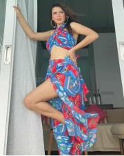 Hansika Motwani Birthday Holiday Snaps 03