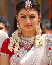 Hansika Motwani Hot Pictures