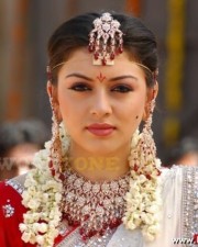 Hansika Motwani Hot Pictures