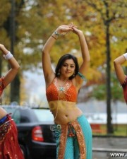 Hansika Motwani Hot Pictures