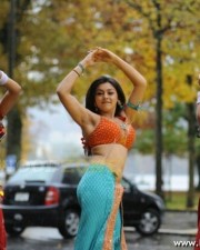Hansika Motwani Hot Pictures