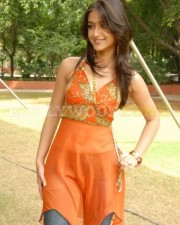 Hot Sexy Ileana Stills