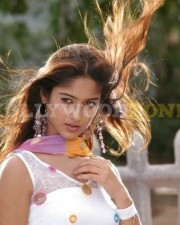 Hot Sexy Ileana Stills