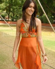 Hot Sexy Ileana Stills