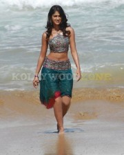 Hot Sexy Ileana Stills