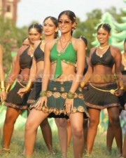 Hot Sexy Ileana Stills