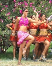 Hot Sexy Ileana Stills