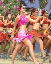 Hot Sexy Ileana Stills