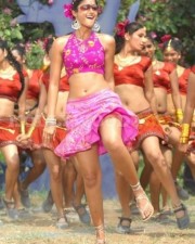 Hot Sexy Ileana Stills