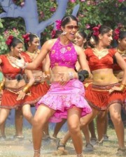 Hot Sexy Ileana Stills