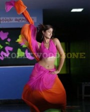 Hot Sexy Ileana Stills