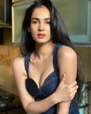 Hottie Sonal Chauhan Sexy Pictures 06