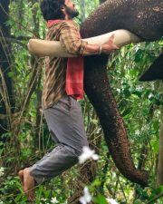 Kaadan Movie Pictures
