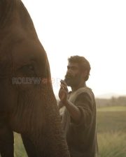 Kaadan Movie Rana Pictures