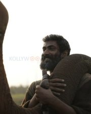 Kaadan Movie Rana Pictures