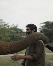 Kaadan Movie Rana Pictures