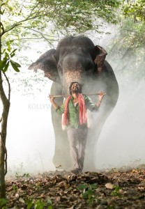 Kaadan Movie Vishnu Vishal Pictures