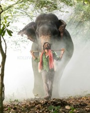 Kaadan Movie Vishnu Vishal Pictures