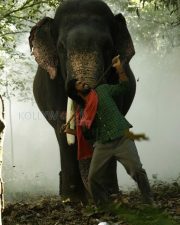 Kaadan Movie Vishnu Vishal Pictures