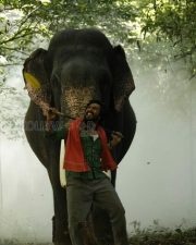 Kaadan Movie Vishnu Vishal Pictures