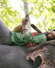 Kaadan Movie Vishnu Vishal Pictures