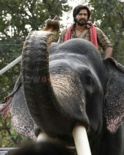 Kaadan Movie Vishnu Vishal Pictures