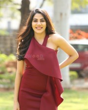 Nikki Tamboli 5 Kanchana Actress Nikki Tamboli Photos