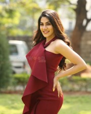 Nikki Tamboli 4 Kanchana Actress Nikki Tamboli Photos