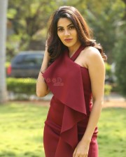 Nikki Tamboli 2 Kanchana Actress Nikki Tamboli Photos