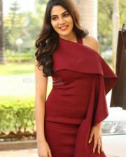 Nikki Tamboli 50 Kanchana Actress Nikki Tamboli Photos