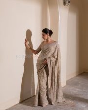 Made in Korea Actress Priyank Mohan in an Embroidered Silver Saree with Matching Blouse Photos 03