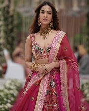 Magnificent Sonal Chauhan Cleavage in a Pink Embroidered Lehenga Photos 03