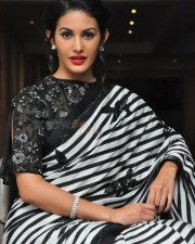 Manasuku Nachindi Movie Heroine Amyra Dastur Photos