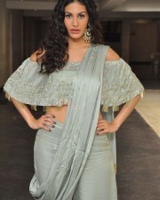 Manasuku Nachindi Movie Heroine Amyra Dastur Photos