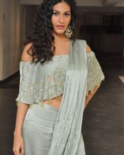Manasuku Nachindi Movie Heroine Amyra Dastur Photos