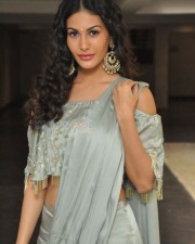 Manasuku Nachindi Movie Heroine Amyra Dastur Photos